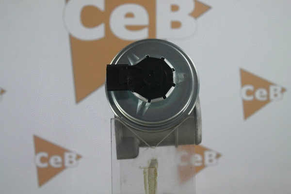 EGR Valve