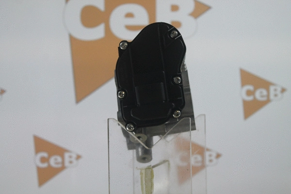 EGR Valve
