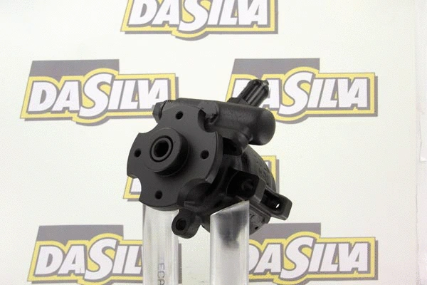 Hydraulic Pump, steering (DP2031)