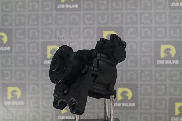 Hydraulic Pump, steering (DP3599)