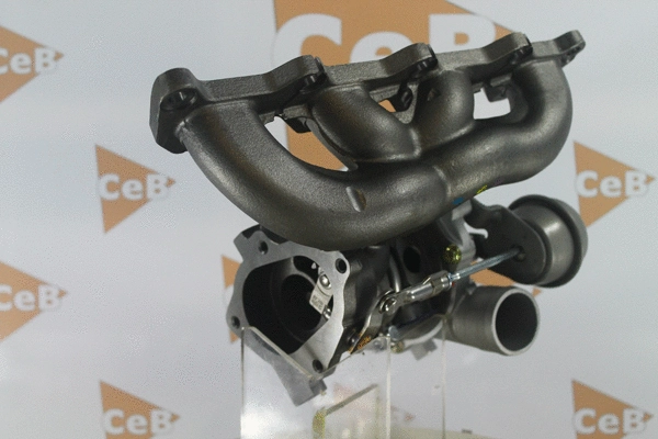 Charger, charging (supercharged/turbocharged)