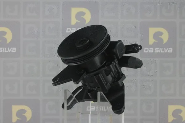 Hydraulic Pump, steering (DP2579)