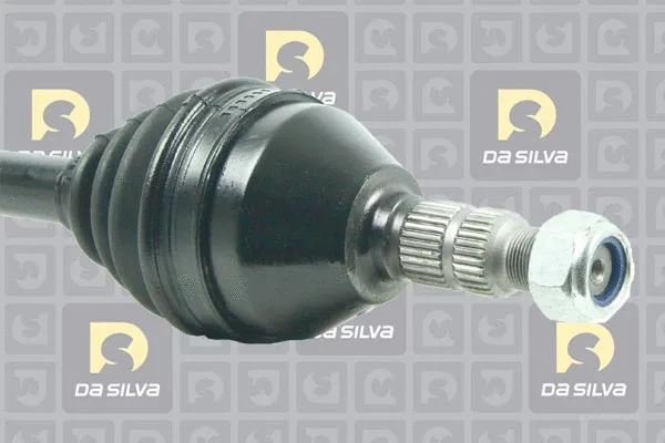 Drive Shaft