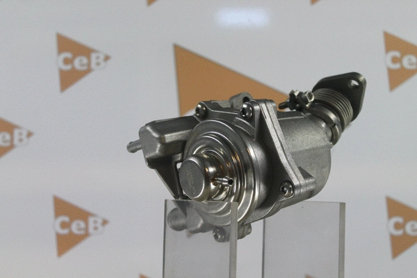 EGR Valve
