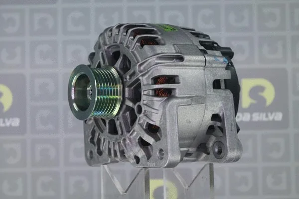 Alternator (011924)