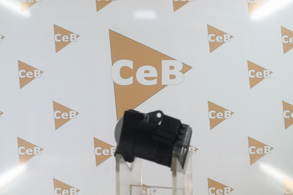 EGR Valve