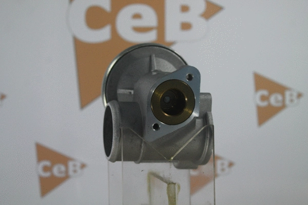 EGR Valve
