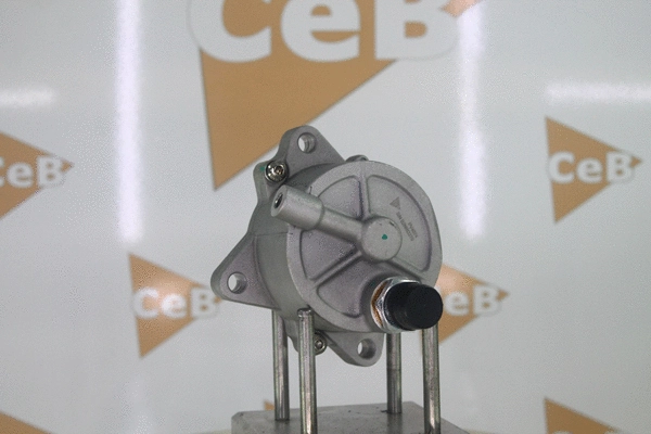 Vacuum Pump, braking system