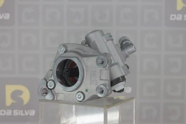 Hydraulic Pump, steering (DP3098)