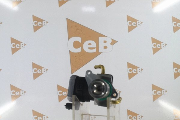 EGR Valve