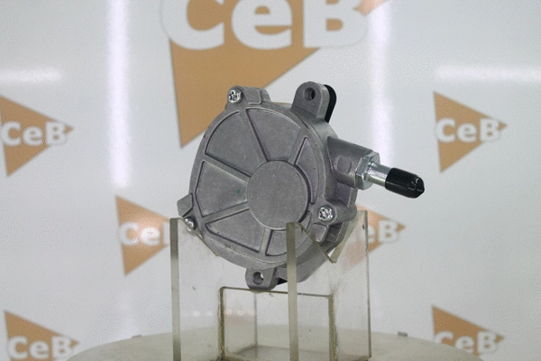 Vacuum Pump, braking system