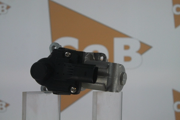 EGR Valve