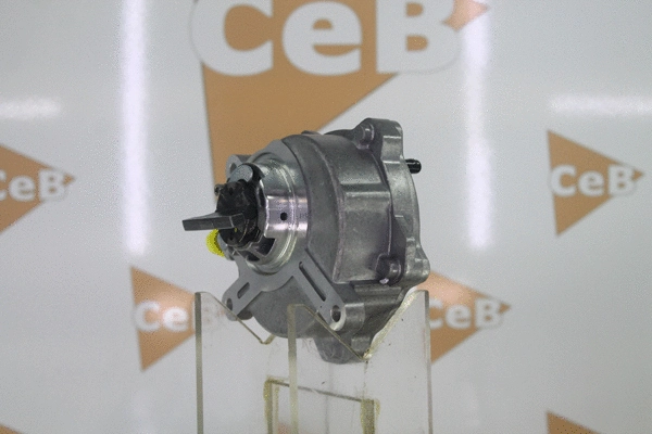 Vacuum Pump, braking system