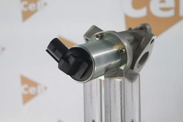 EGR Valve (GR6165)
