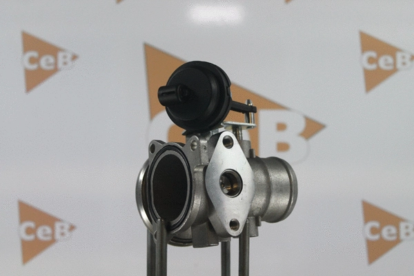 EGR Valve (GR6040)