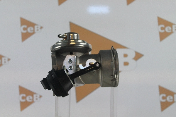 EGR Valve