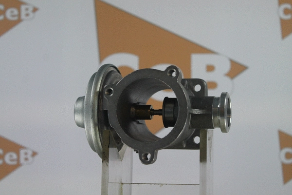EGR Valve