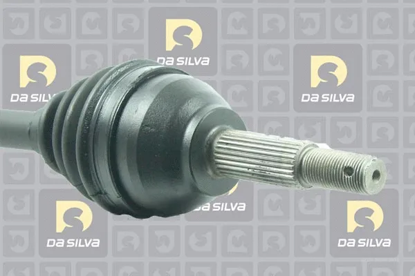 Drive Shaft