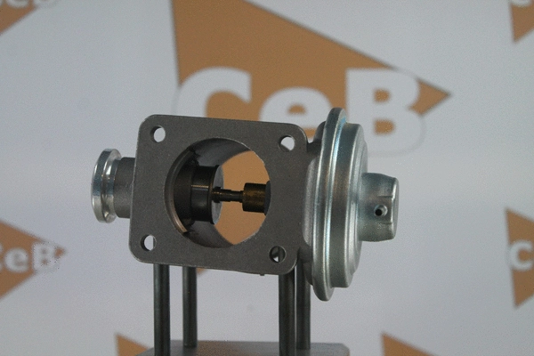 EGR Valve