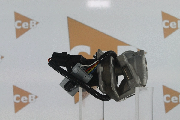 EGR Valve