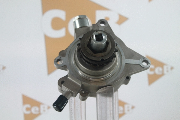 Vacuum Pump, braking system