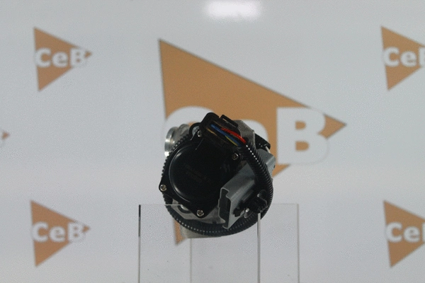 EGR Valve