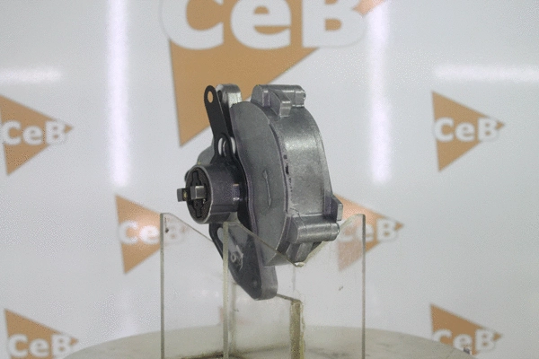 Vacuum Pump, braking system