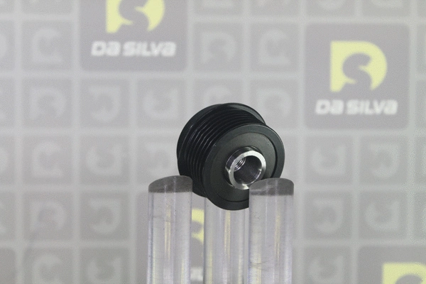 Alternator Freewheel Clutch