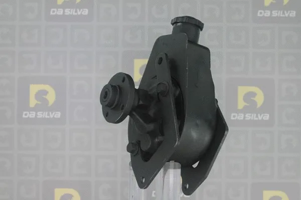 Hydraulic Pump, steering (DP2387)