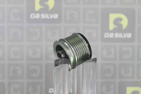 Alternator Freewheel Clutch