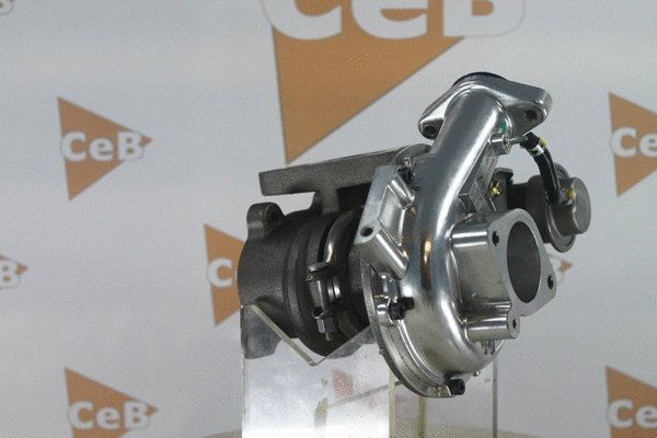 Charger, charging (supercharged/turbocharged)