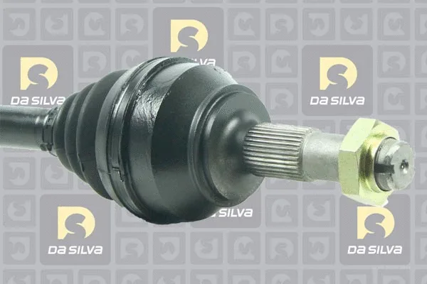 Drive Shaft
