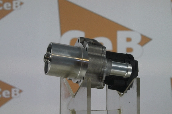 EGR Valve