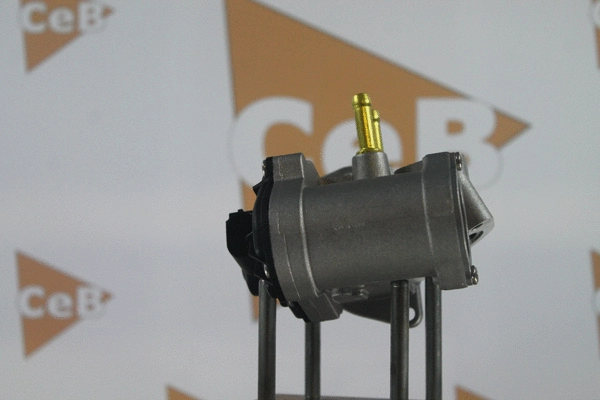 EGR Valve