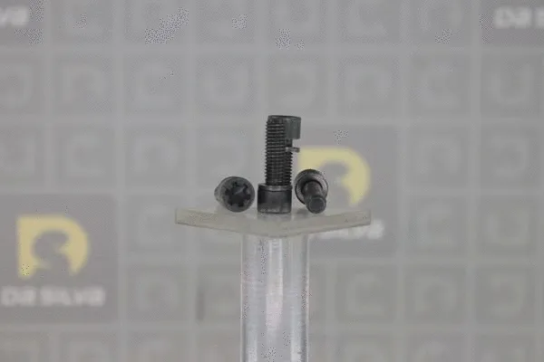 Bolt Set, crankshaft pulley