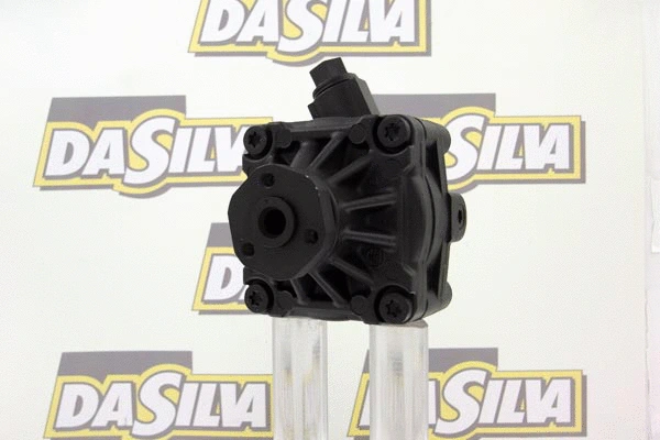 Hydraulic Pump, steering (DP2534)