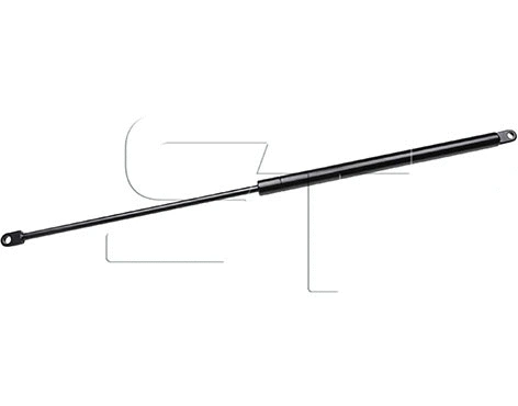 Gas Spring (09.080.3000.600)