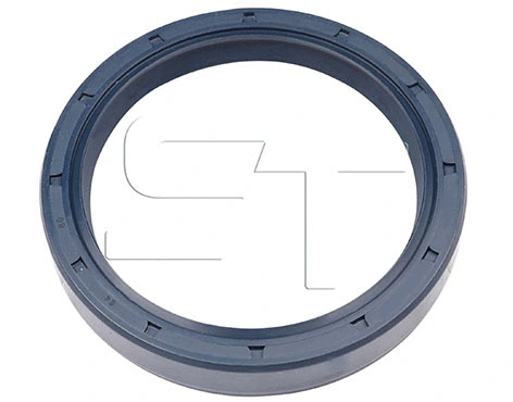 Shaft Seal (11.060.1592.010)