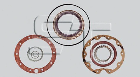 Gasket Set, wheel hub (14.060.1598.108)