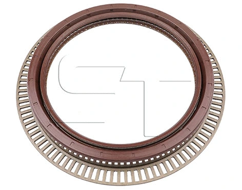 Shaft Seal (11.060.1801.000)