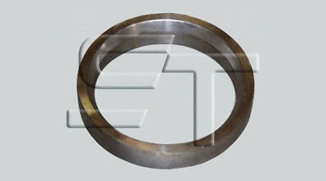 Pressure Ring (14.060.1802.000)