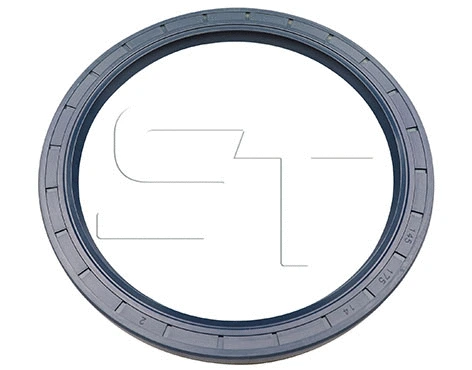 Shaft Seal (11.060.1595.010)