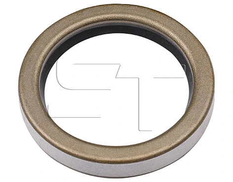 Shaft Seal (11.060.1906.170)