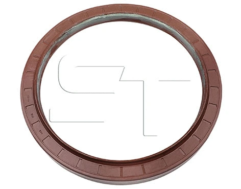 Shaft Seal (11.060.1939.000)