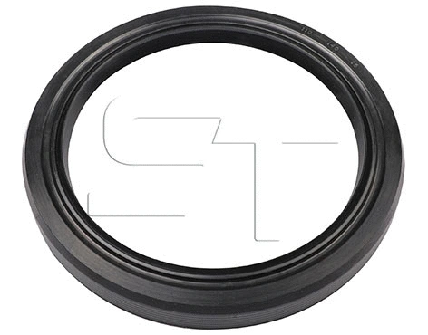 Shaft Seal (11.060.3003.500)