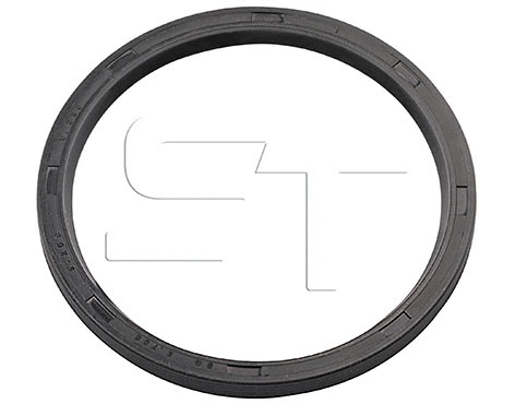 Shaft Seal (11.060.1909.390)