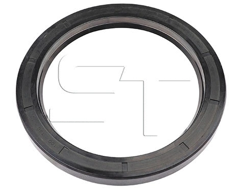 Shaft Seal (11.060.8200.011)