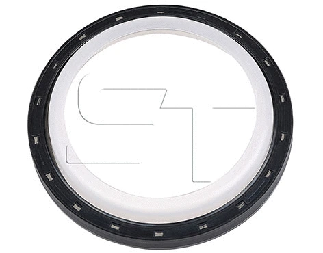 Shaft Seal (11.060.0901.110)