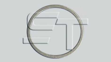 Shaft Seal, wheel hub (14.060.1595.050)