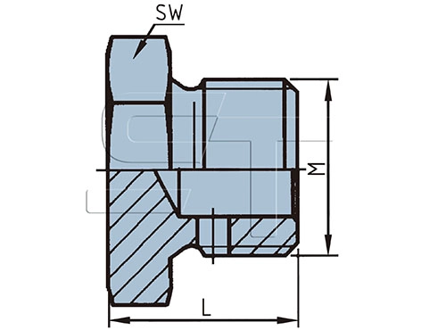 Screw Plug (02.210.7155.520)